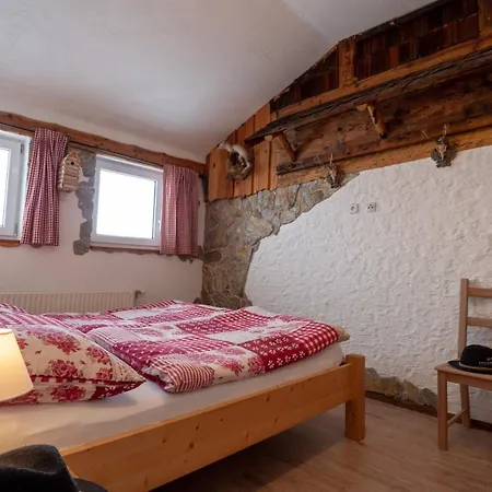 Almhaus Dachsteinblick Am Feuerkogel *