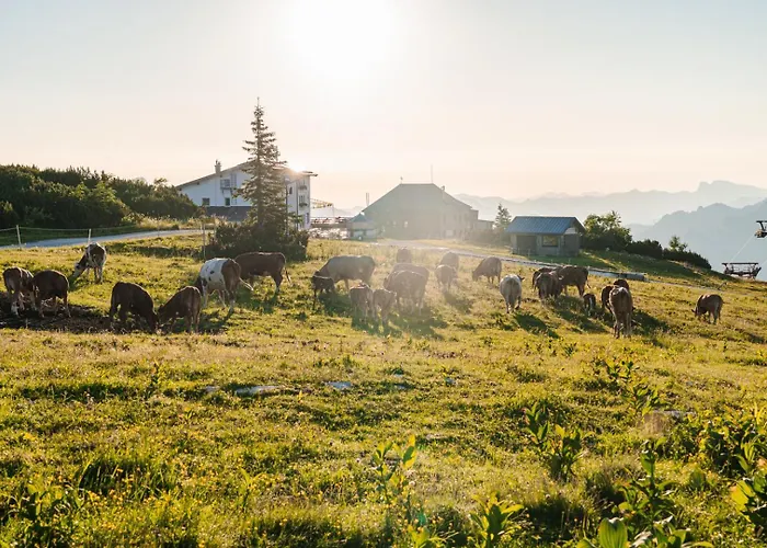 Almhaus Dachsteinblick Am Feuerkogel