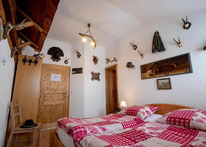 Almhaus Dachsteinblick Am Feuerkogel Tatil Evi