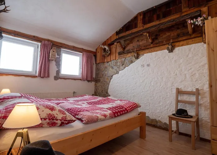 Almhaus Dachsteinblick Am Feuerkogel *